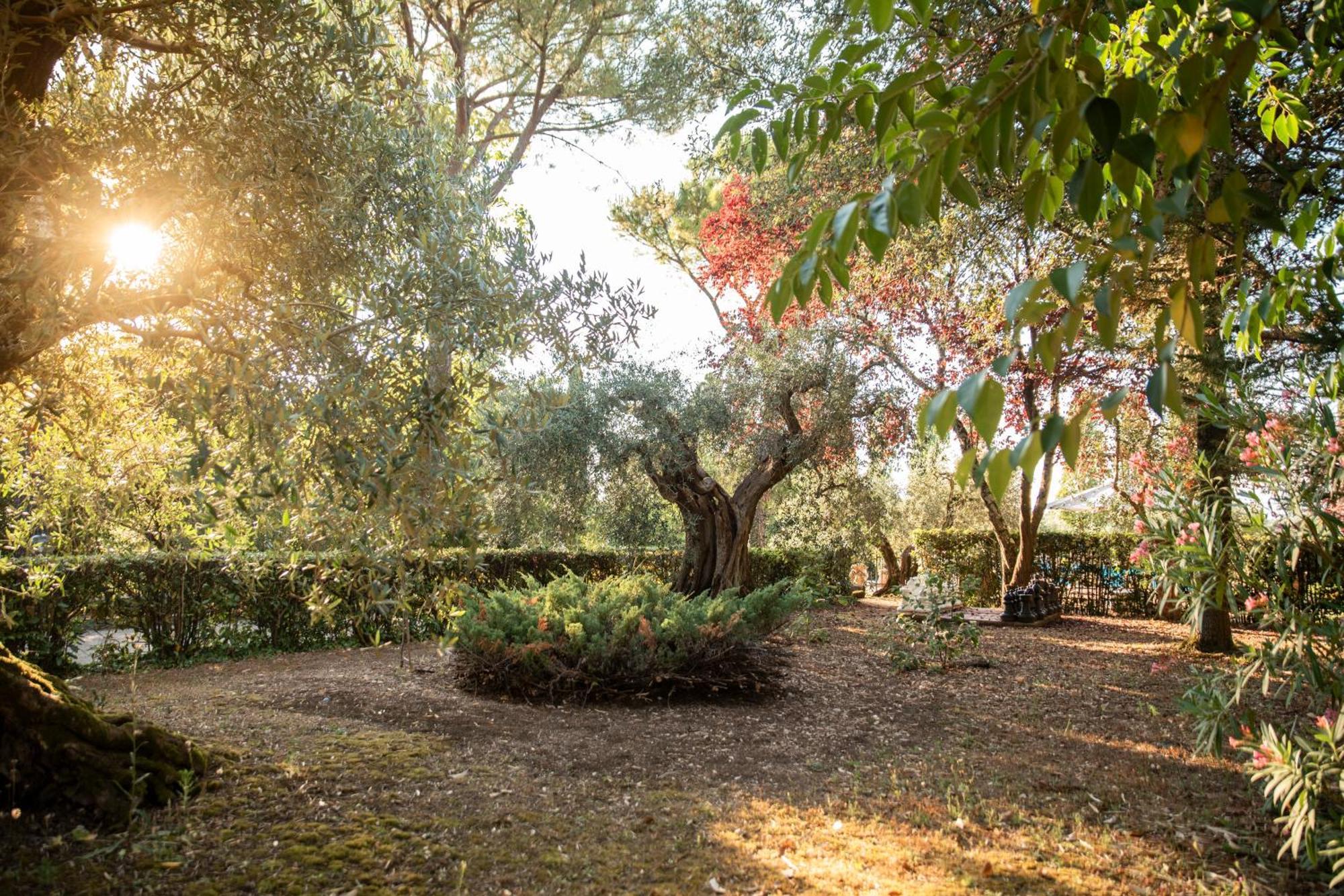 Romitorio Di Castiglione Del Lago Exterior photo
