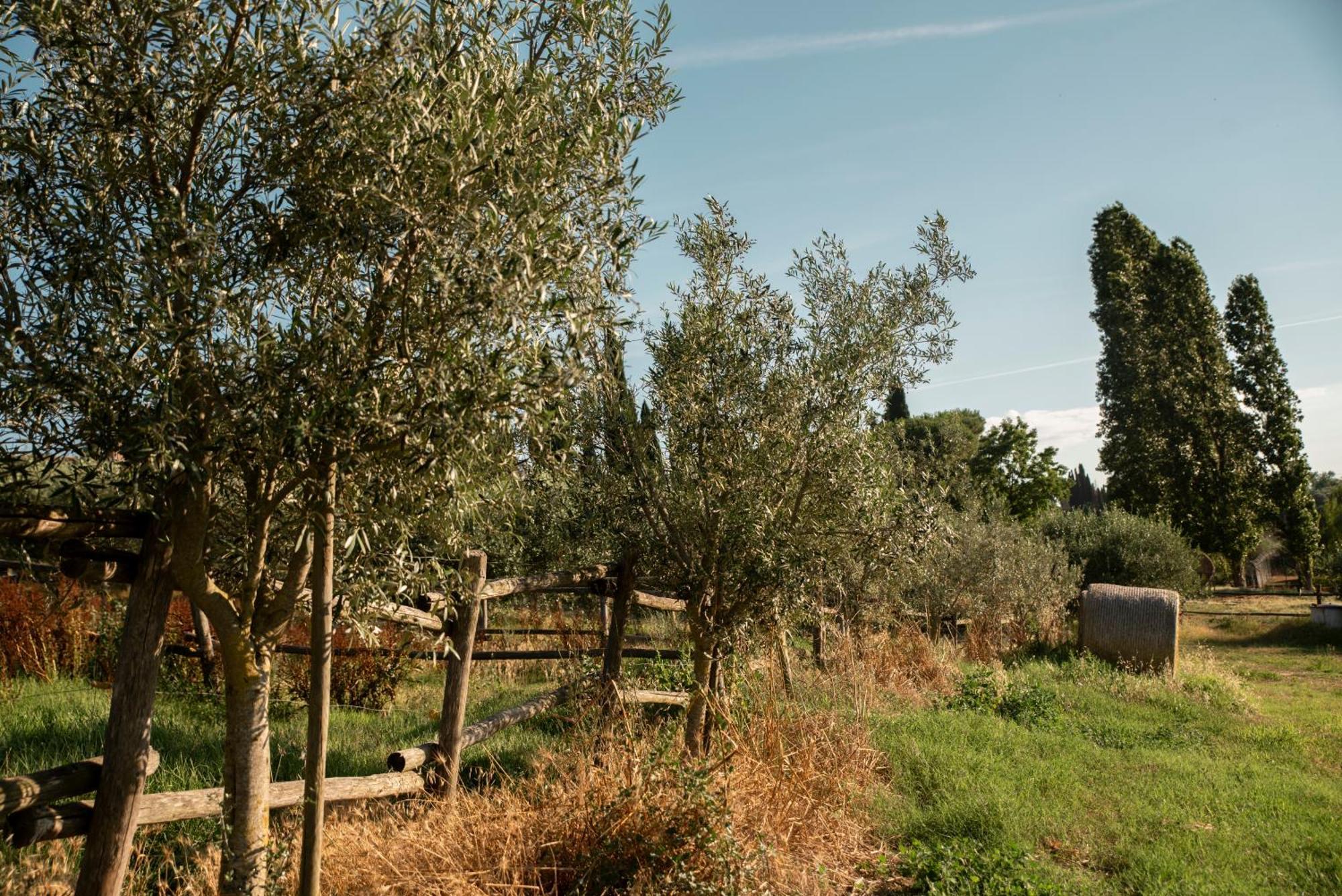 Romitorio Di Castiglione Del Lago Exterior photo