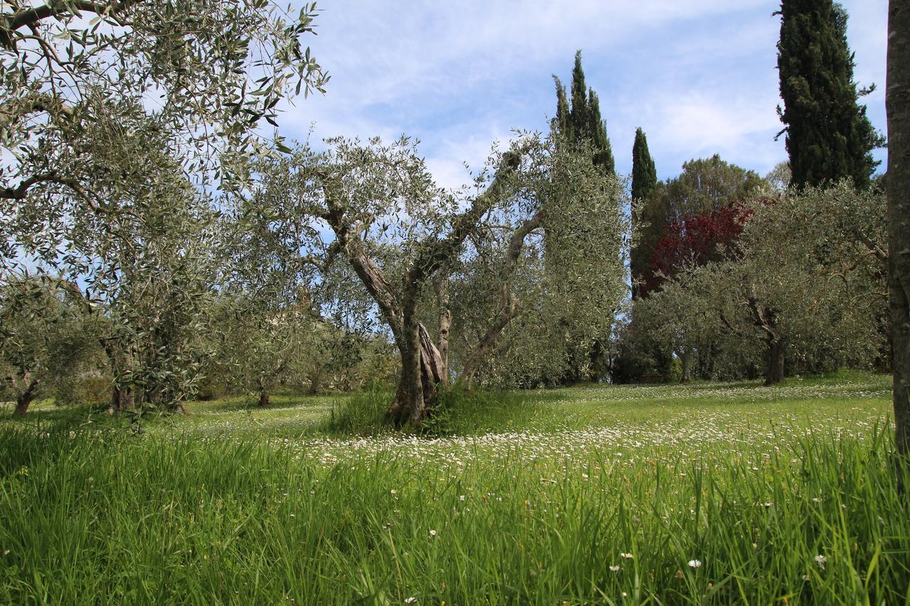 Romitorio Di Castiglione Del Lago Exterior photo