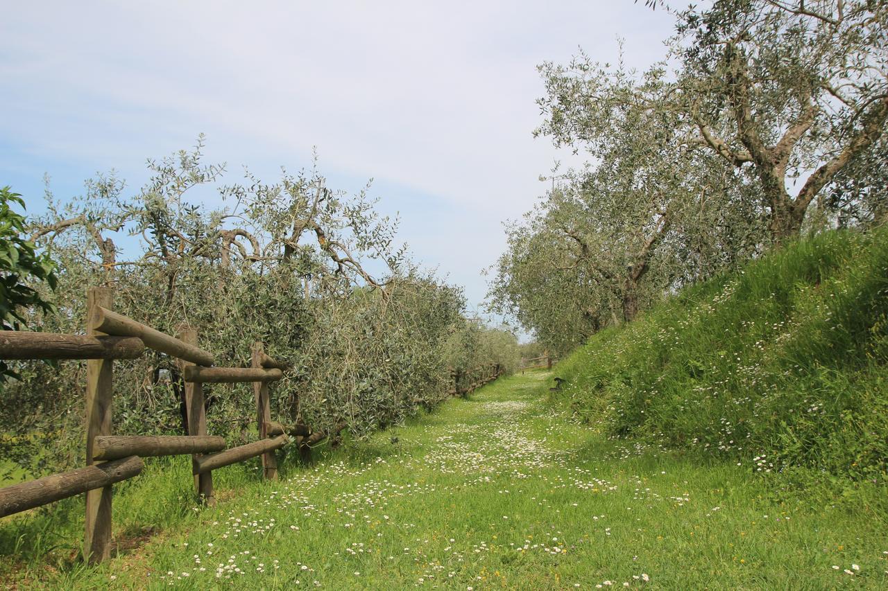 Romitorio Di Castiglione Del Lago Exterior photo